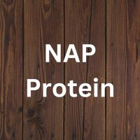 NAP Protein