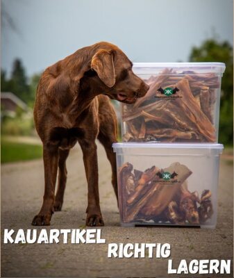 Kauartikel richtig lagern - 