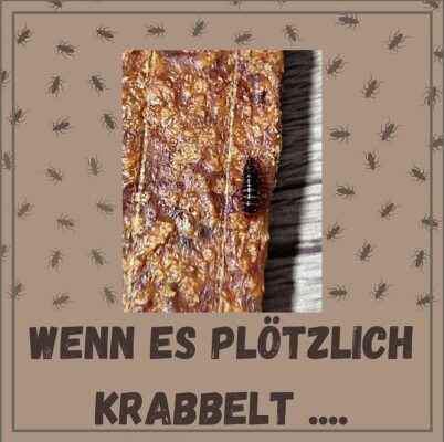 Wenn es plötzlich krabbelt - 