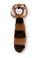 Waschbär Timo