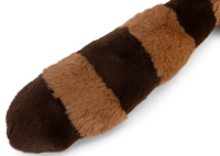 Waschbär Timo