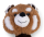 Waschbär Timo