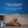 Royal Dry Kissen Für Hunde