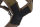 Line harness long WD