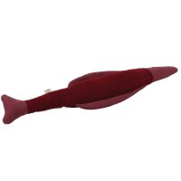 Fisch RIV