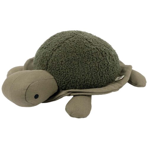 Schildkröte Donny