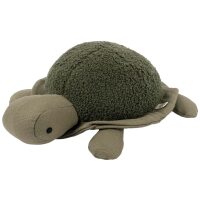 Schildkröte Donny