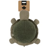 Schildkröte Donny
