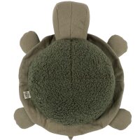 Schildkröte Donny