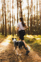 Non-Stop Trail light belt