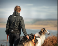 Non-Stop Trail light belt
