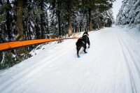 Non Stop BUNGEE LEASH (Länge: 2,80 m)