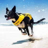 EZY DOG Boost Premium Schwimmweste L-blau