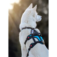 Open Range Harness (Farbe: anthrazit, Größe: M)