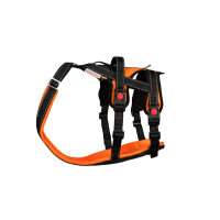 Open Range Harness (Farbe: anthrazit, Größe: M)