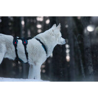 Open Range Harness (Farbe: anthrazit, Größe: M)
