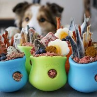 WestPaw Hundespielzeug TOPPL (Größe: XL, Farbe: blau)