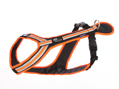 Führ- und Zuggeschirr SAFETY (Größe: XL, Farbe: orange/schwarz)