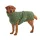 Hundebademantel von Lills Olive