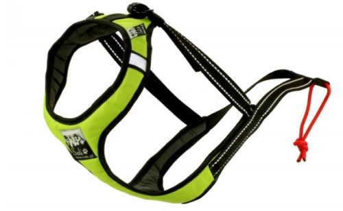 Sali Sport Sled Geschirr Lemon-4