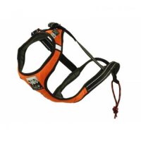 Sali Sport Sled Geschirr Blau-L