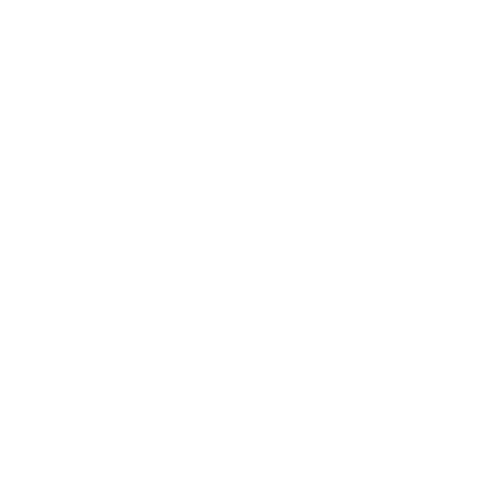 Jöringleine Bungee (Stärke: stark, Farbe: schwarz)