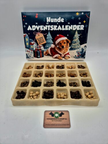 Adventskalender Pferd