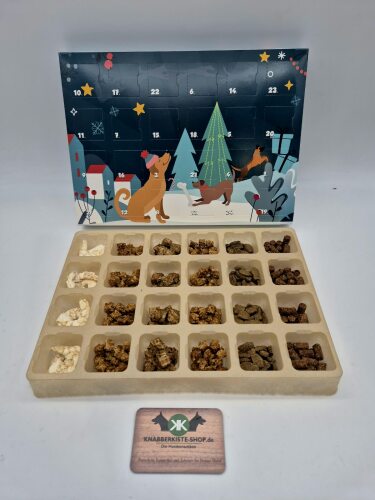 Adventskalender Fisch