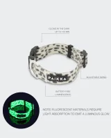 PAIKKA Glow Collar black/white Breite: 2,5cm x HU: 35-48cm