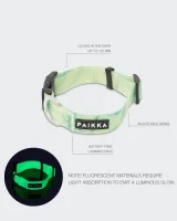 PAIKKA Glow Collar marble green