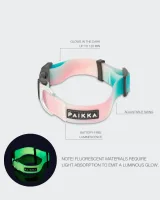 PAIKKA Glow Collar ombre Breite: 2cm x HU: 30-40cm