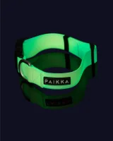 PAIKKA Glow Collar ombre Breite: 2cm x HU: 30-40cm