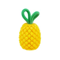 Dental Pineapple