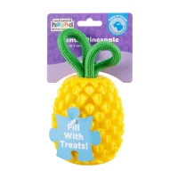 Dental Pineapple