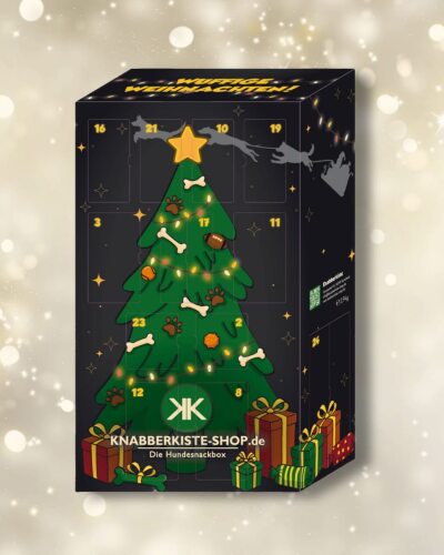 Adventskalender Knabberkiste