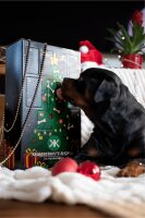 Adventskalender Knabberkiste