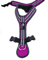 Führ- und Zuggeschirr SAFETY (Größe: M/L, Farbe: Fuchsia-Anthrazit)