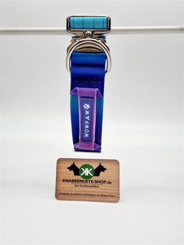 Taktisches Hundehalsband Violett-Blau HU: 41-58cm