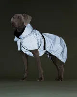 PAIKKA  Raincoat Grün