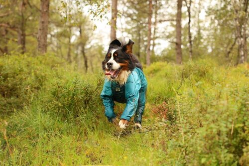 NonStop FjordOverall raincoat teal