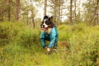 NonStop FjordOverall raincoat teal
