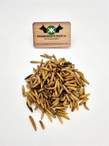 Hermetia (Gewicht: 500 g)