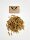 Hermetia (Gewicht: 500 g)