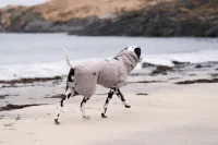 NonStop Drying coat sand
