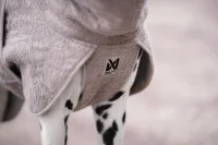 NonStop Drying coat sand