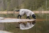 NonStop Drying coat sand