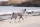 NonStop Drying coat sand