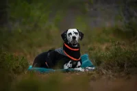 Non-stop Dogwear Trekking Fleece Jacke