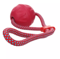 Dog Comets Vortex Loop pink
