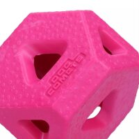 Dog Comets Treat Lock Cube